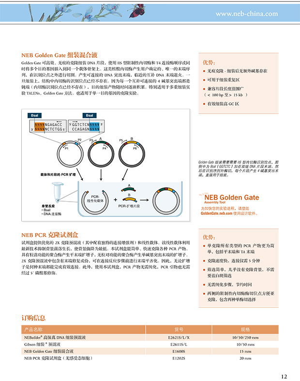 2024新澳门免费原料网1688