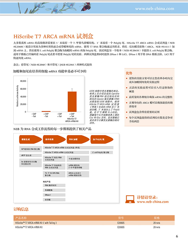 2024新澳门免费原料网1688