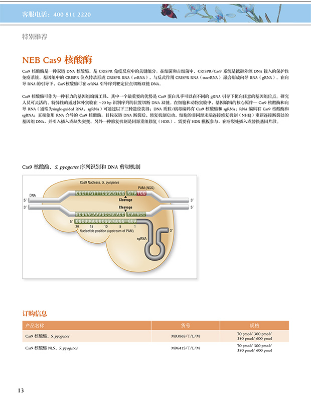 2024新澳门免费原料网1688