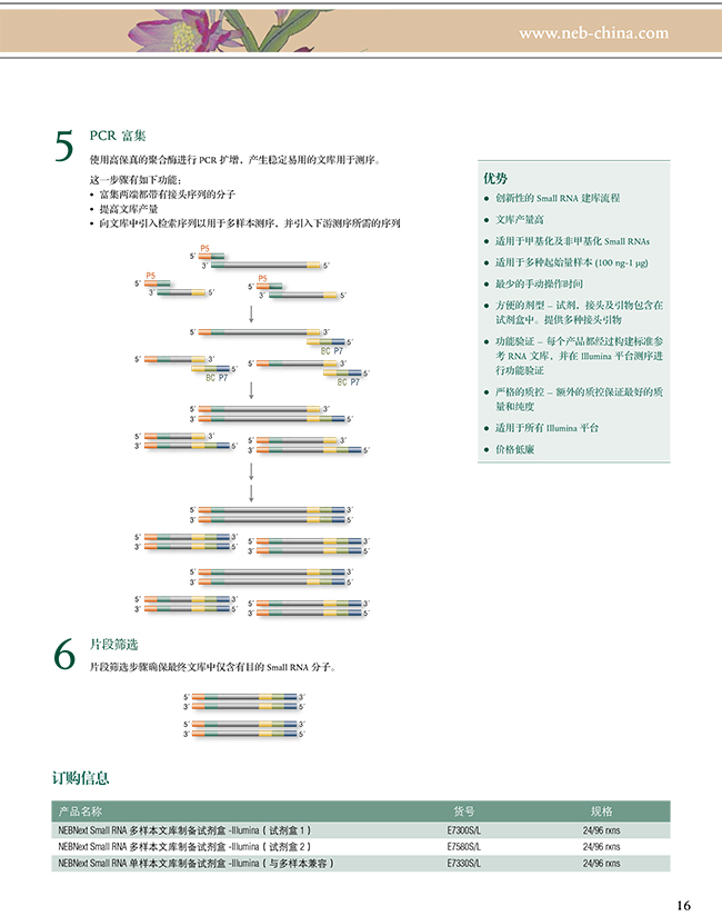 2024新澳门免费原料网1688