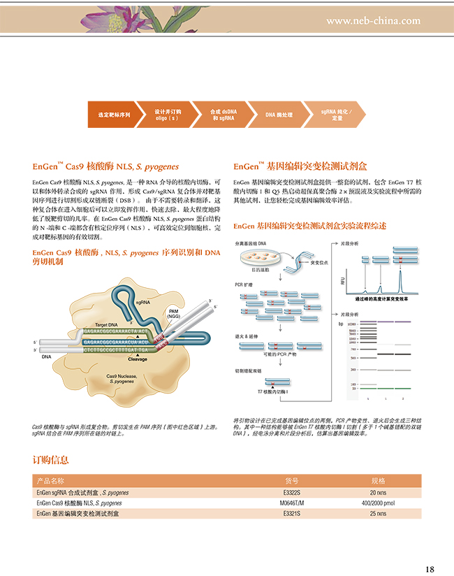 2024新澳门免费原料网1688