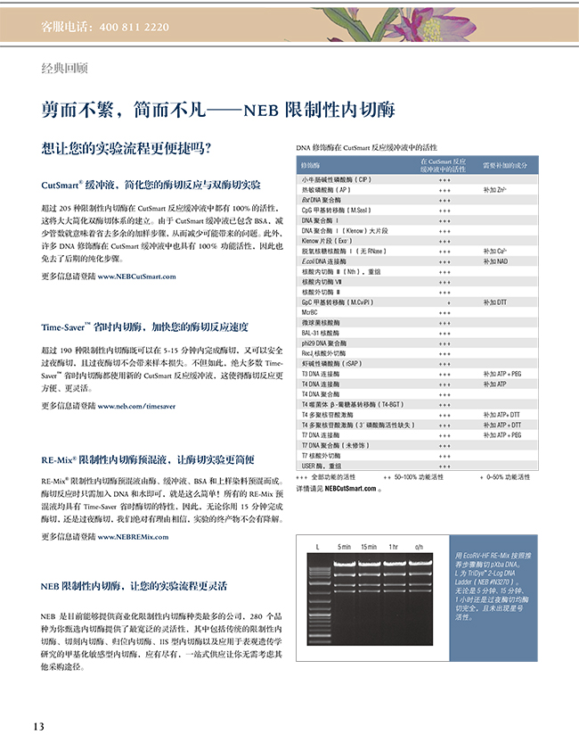 2024新澳门免费原料网1688