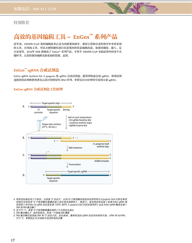 2024新澳门免费原料网1688