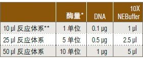 2024新澳门免费原料网1688