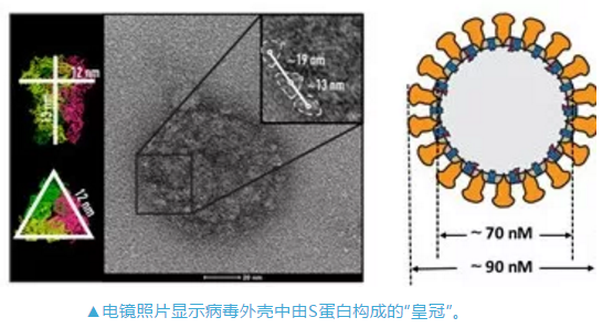 2024新澳门免费原料网1688