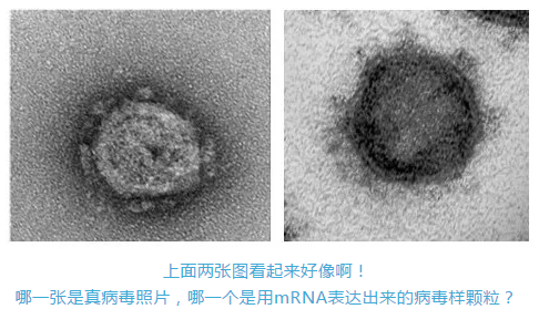 2024新澳门免费原料网1688