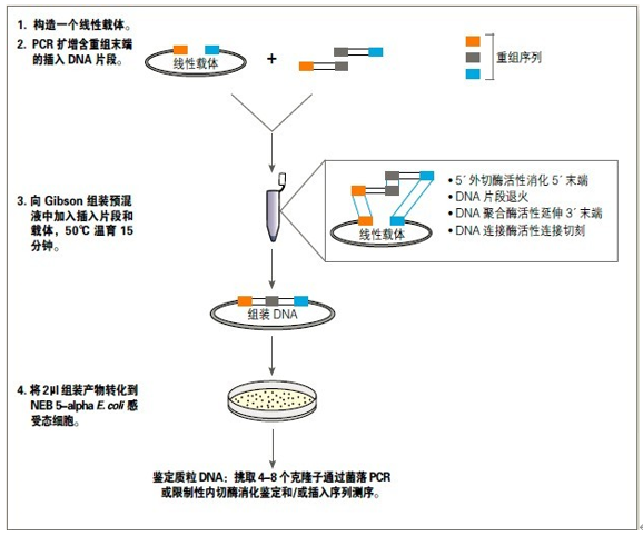 2024新澳门免费原料网1688