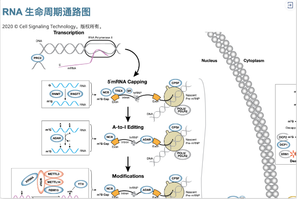 2024新澳门免费原料网1688