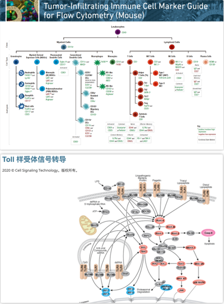 2024新澳门免费原料网1688