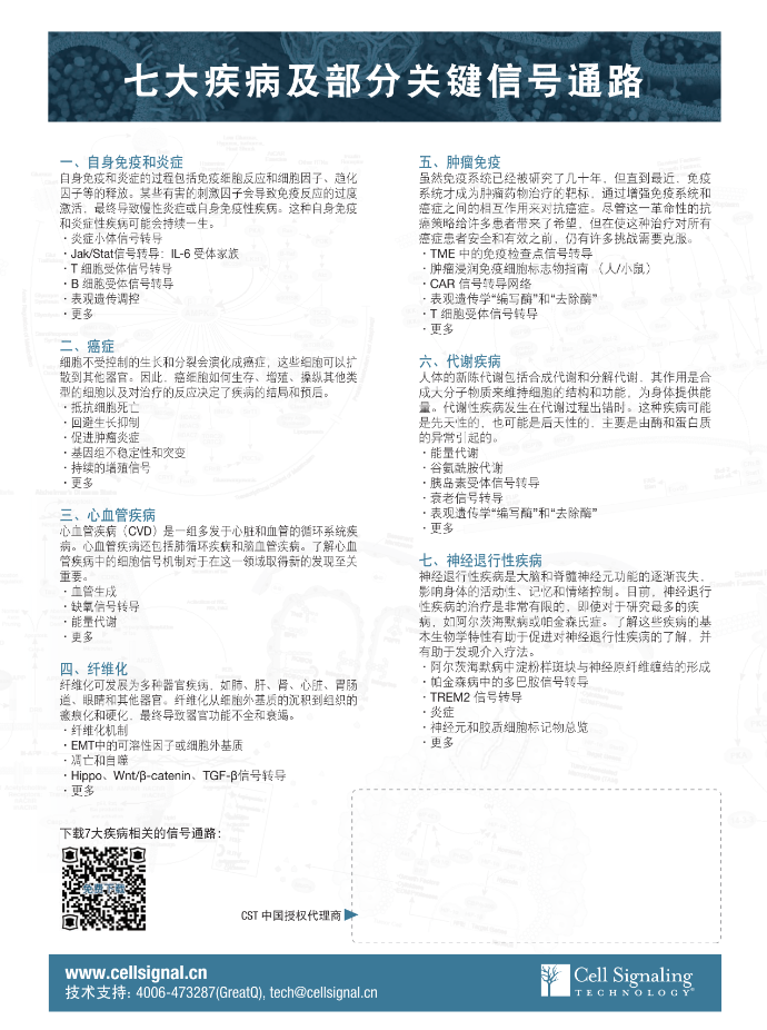 2024新澳门免费原料网1688