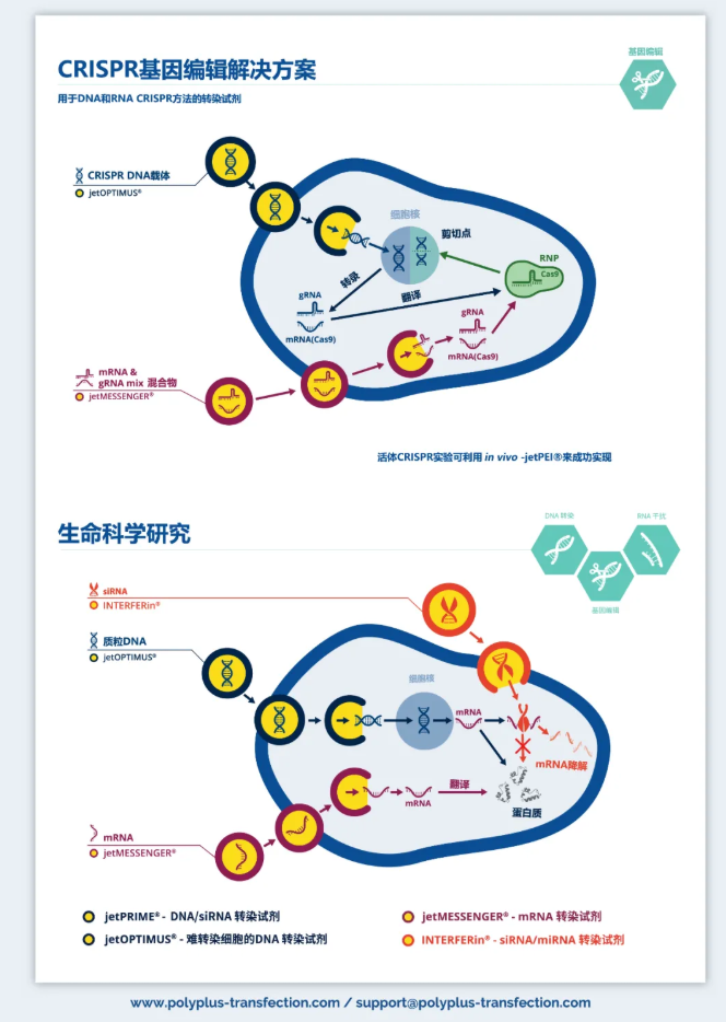 2024新澳门免费原料网1688