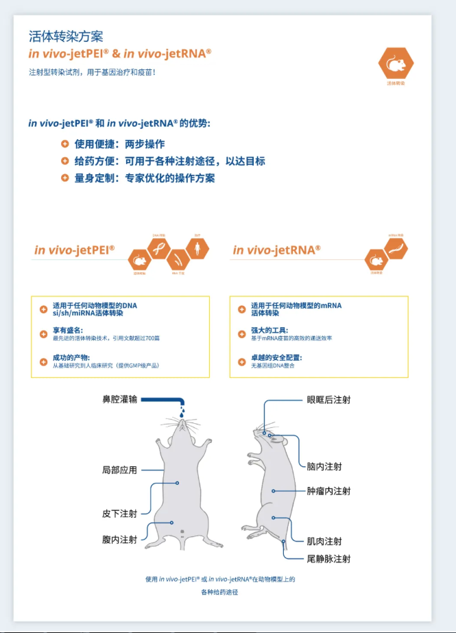 2024新澳门免费原料网1688