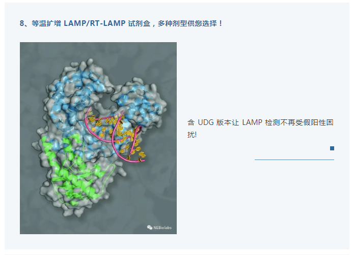 2024新澳门免费原料网1688