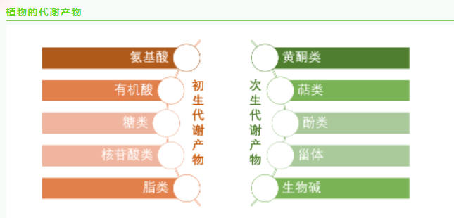 2024新澳门免费原料网1688