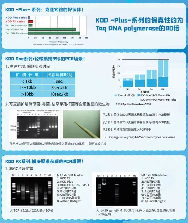 2024新澳门免费原料网1688