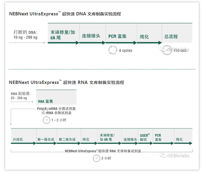 2024新澳门免费原料网1688