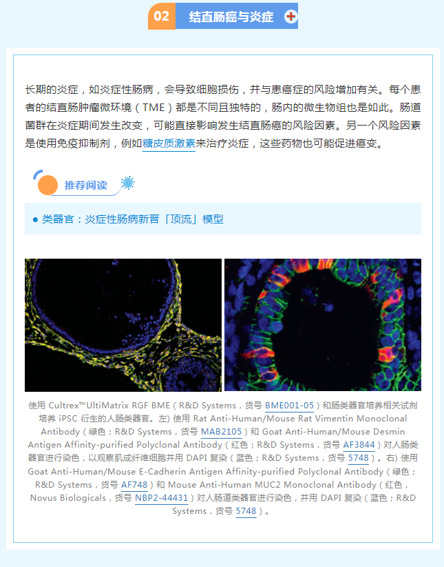 2024新澳门免费原料网1688